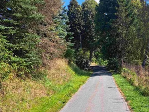 Prodej pozemku pro bydlení, Loučná nad Desnou, 1123 m2
