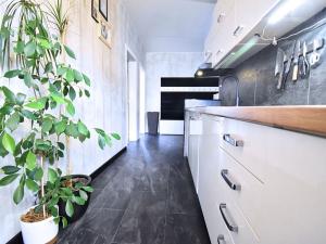 Prodej bytu 2+1, Chomutov, Zadní Vinohrady, 62 m2