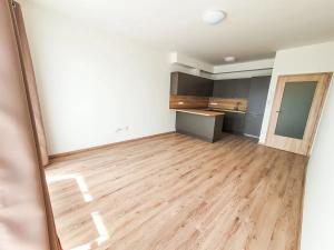 Pronájem bytu 1+kk, Brno, Plotní, 49 m2