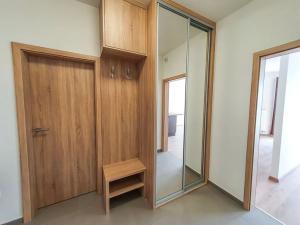 Pronájem bytu 1+kk, Brno, Plotní, 49 m2