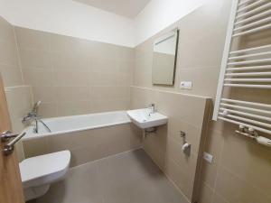 Pronájem bytu 1+kk, Brno, Plotní, 49 m2
