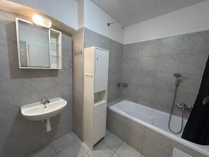 Pronájem bytu 2+1, Teplice, Školní, 50 m2
