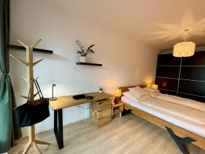Pronájem bytu 2+kk, Praha - Žižkov, Olgy Havlové, 52 m2