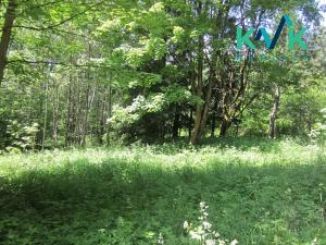 Prodej louky, Nejdek, 3354 m2