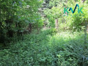 Prodej louky, Nejdek, 3354 m2