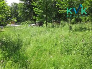 Prodej louky, Nejdek, 3354 m2