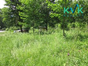 Prodej louky, Nejdek, 3354 m2