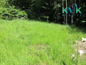 Prodej louky, Nejdek, 3354 m2
