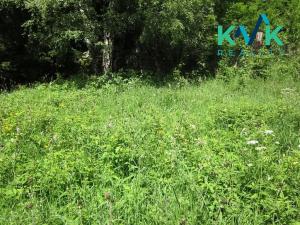 Prodej louky, Nejdek, 3354 m2
