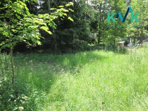Prodej louky, Nejdek, 3354 m2