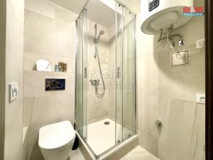 Pronájem bytu 2+kk, Líšnice, Spálený Mlýn, 42 m2