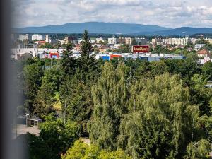 Prodej bytu 3+1, České Budějovice - České Budějovice 3, Plzeňská, 66 m2
