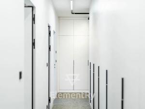 Pronájem bytu 4+kk, Hradec Králové, Heřmanova, 143 m2