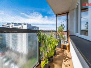 Prodej bytu 1+1, Příbram - Příbram VIII, Budovatelů, 39 m2
