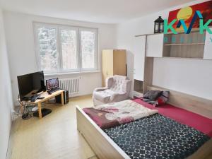 Pronájem bytu 2+1, Nejdek, Závodu míru, 55 m2
