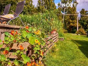 Prodej rodinného domu, Bohdalovice, 60 m2