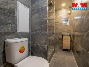 Pronájem bytu 2+1, Cvikov - Cvikov II, Sídliště, 60 m2