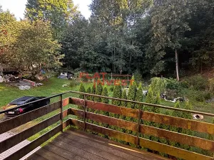 Pronájem bytu 2+1, Liberec, Javorová, 52 m2