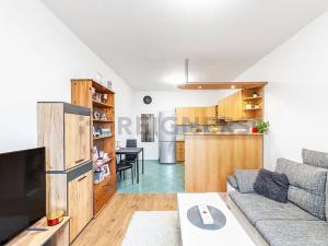 Prodej bytu 2+kk, Brno, Oblá, 56 m2