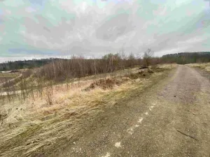 Dražba pole, Týn nad Vltavou, 440 m2