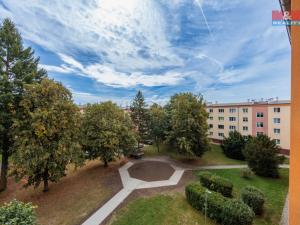 Prodej bytu 2+1, Nová Role, Krátká, 50 m2