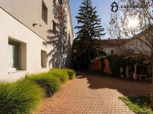 Pronájem bytu 1+kk, Brno, Cejl, 24 m2