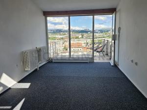 Pronájem bytu 1+kk, Brno, Palackého třída, 28 m2