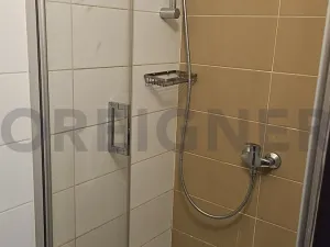 Pronájem bytu 1+kk, Brno, Palackého třída, 28 m2
