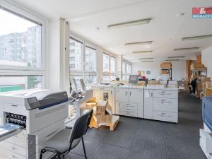 Prodej výrobních prostor, České Budějovice - České Budějovice 2, Prachatická, 1100 m2