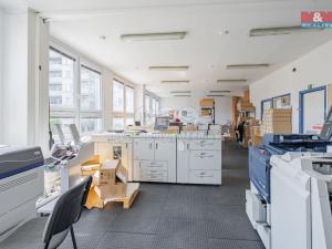 Prodej výrobních prostor, České Budějovice - České Budějovice 2, Prachatická, 1100 m2