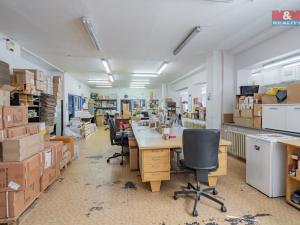 Prodej výrobních prostor, České Budějovice - České Budějovice 2, Prachatická, 1100 m2
