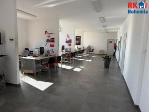 Prodej kanceláře, Řepov, 8000 m2