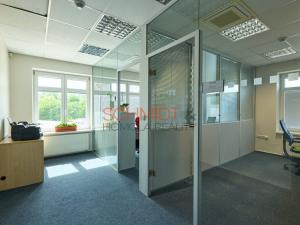 Pronájem kanceláře, Hustopeče, Herbenova, 526 m2