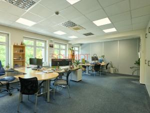 Pronájem kanceláře, Hustopeče, Herbenova, 526 m2