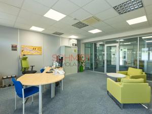 Pronájem kanceláře, Hustopeče, Herbenova, 526 m2