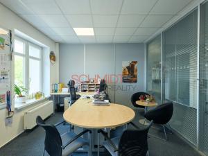 Pronájem kanceláře, Hustopeče, Herbenova, 526 m2