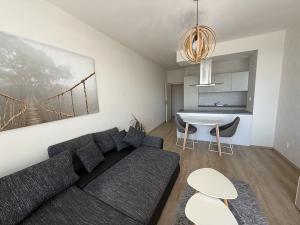 Pronájem bytu 4+kk, Brno, Vinařská, 102 m2