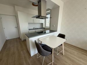 Pronájem bytu 4+kk, Brno, Vinařská, 102 m2