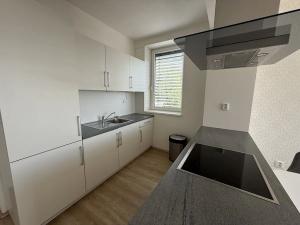 Pronájem bytu 4+kk, Brno, Vinařská, 102 m2