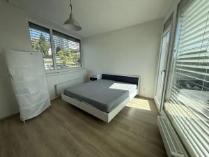 Pronájem bytu 4+kk, Brno, Vinařská, 102 m2