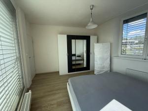 Pronájem bytu 4+kk, Brno, Vinařská, 102 m2