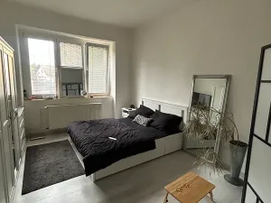 Pronájem bytu 2+kk, Písek, Nádražní, 50 m2