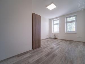 Pronájem bytu 1+1, České Budějovice - České Budějovice 5, Ledenická, 40 m2