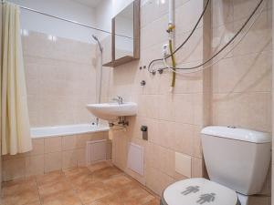 Pronájem bytu 1+1, České Budějovice - České Budějovice 5, Ledenická, 40 m2