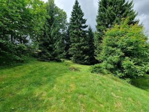 Prodej rodinného domu, Osečná, 216 m2