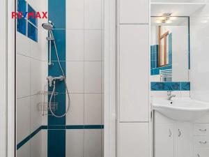 Pronájem bytu 3+kk, Plzeň, Na Roudné, 90 m2