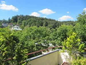 Pronájem bytu 1+kk, Luhačovice, Dr. Veselého, 45 m2