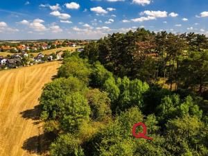 Prodej pozemku pro bydlení, Brandýsek, Nad Kovárnou, 16339 m2