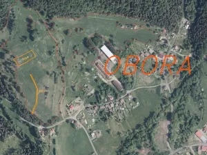 Dražba louky, Šindelová, 2618 m2