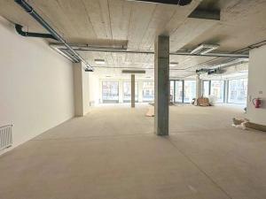 Pronájem obchodního prostoru, Praha - Žižkov, Prokopova, 246 m2
